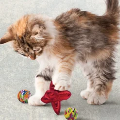 KONG Cat Active Jacks