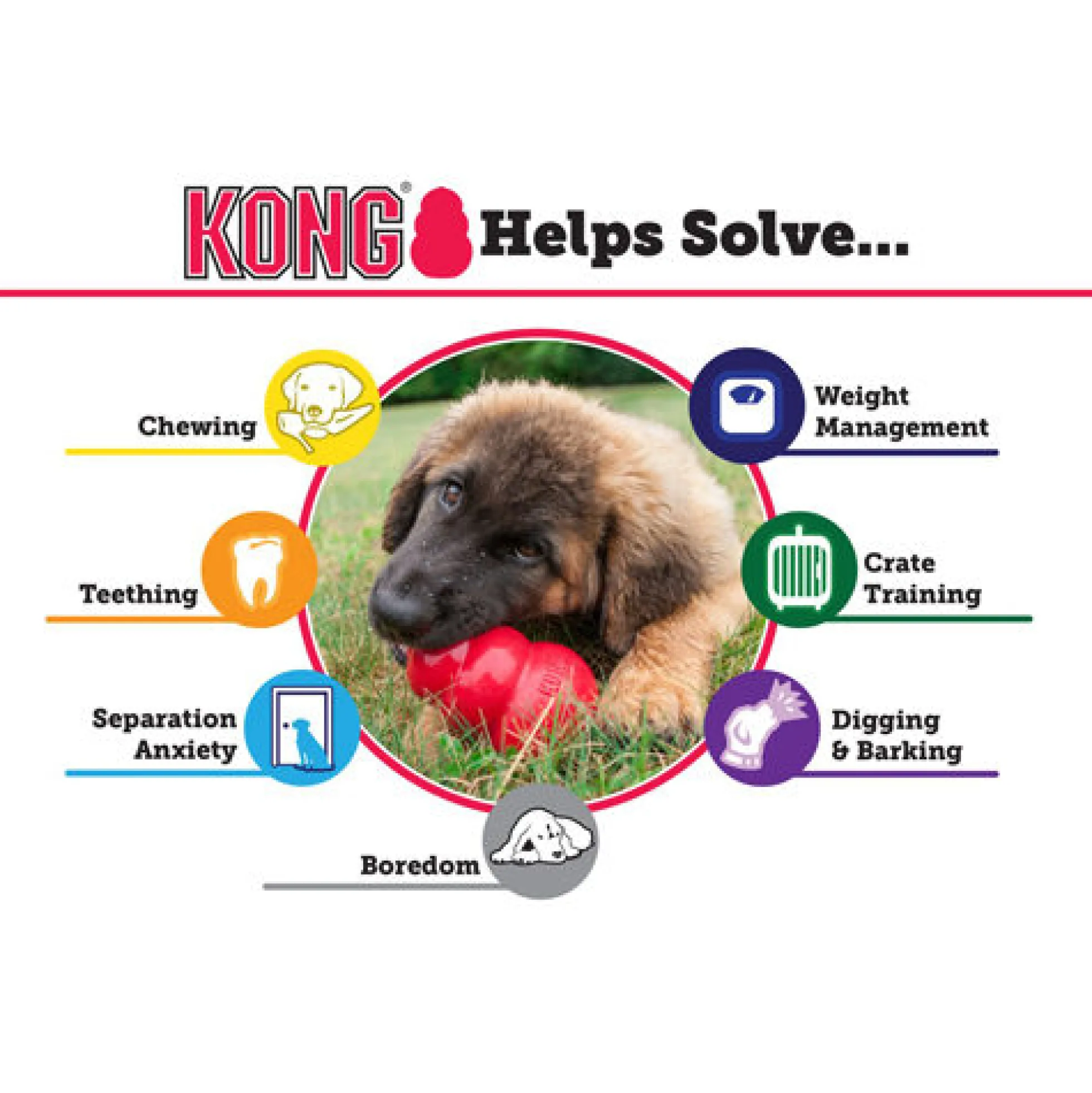 KONG Classic