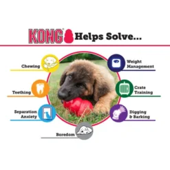 KONG Extreme