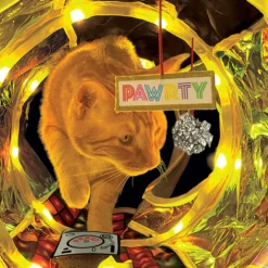 KONG Play Spaces Rave Cave