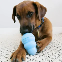 KONG Puppy Snacks