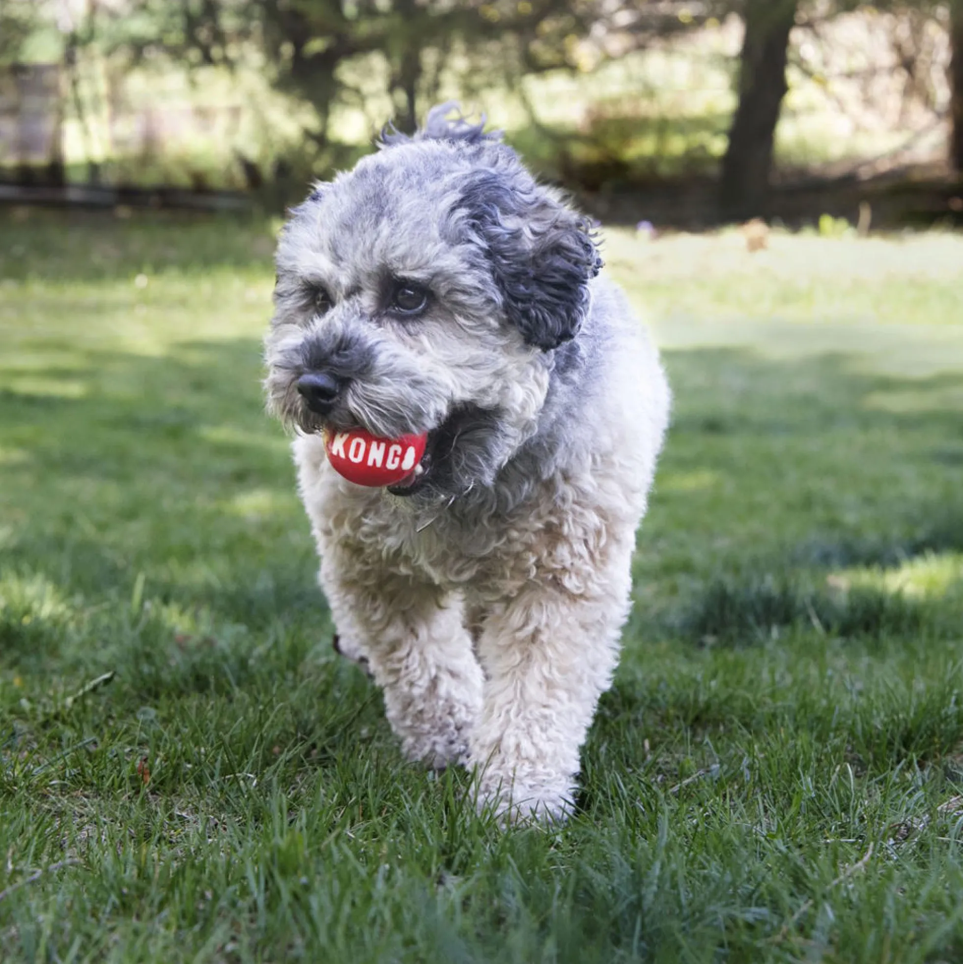 KONG Signature Ball