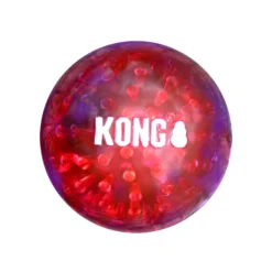 Kong Squeezz Geodz 2-pack
