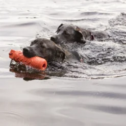 KONG Training Dummy