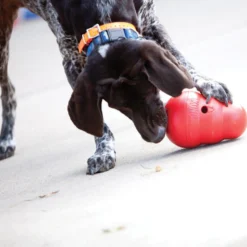 KONG Wobbler