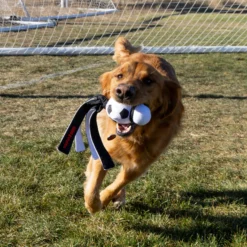 KONG Wubba Sport