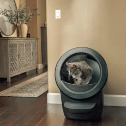 Litter-Robot 4