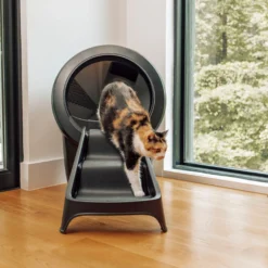 Litter-Robot 4 Ramp