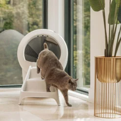 Litter-Robot 4 Ramp