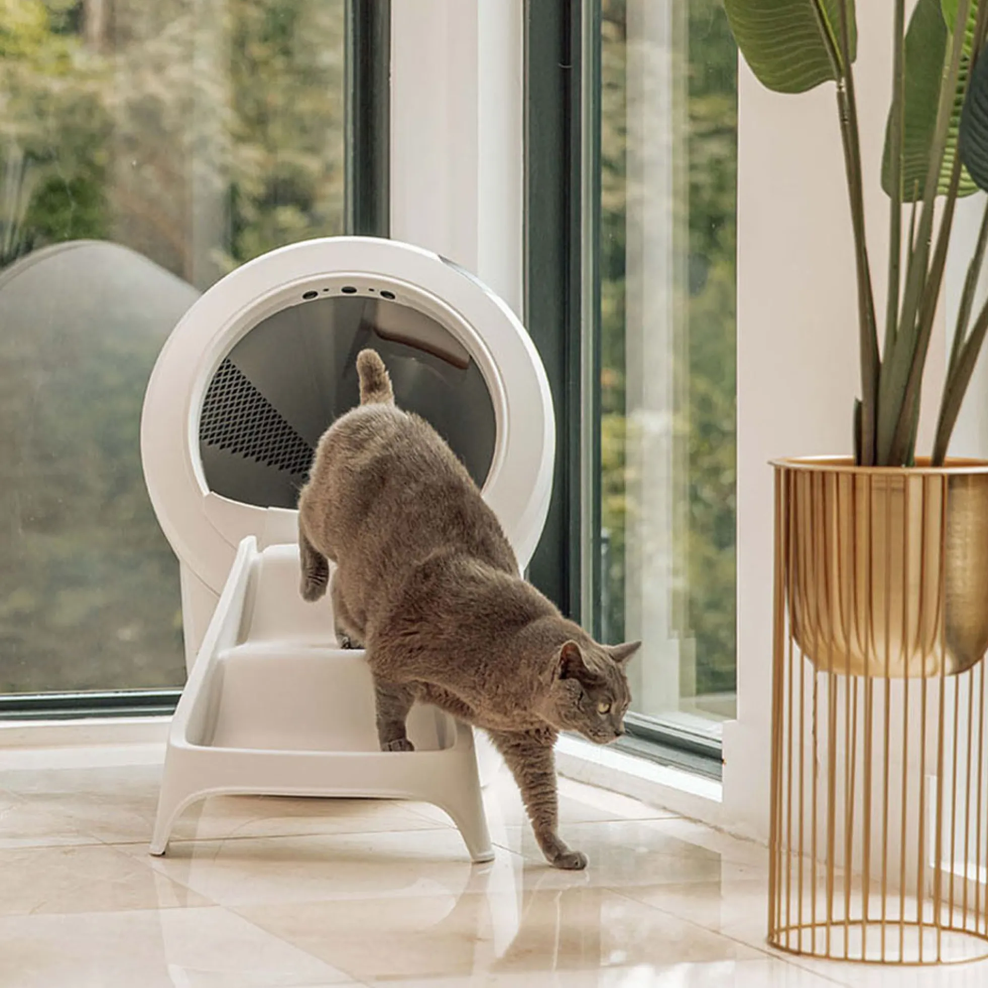 Litter-Robot 4 Ramp