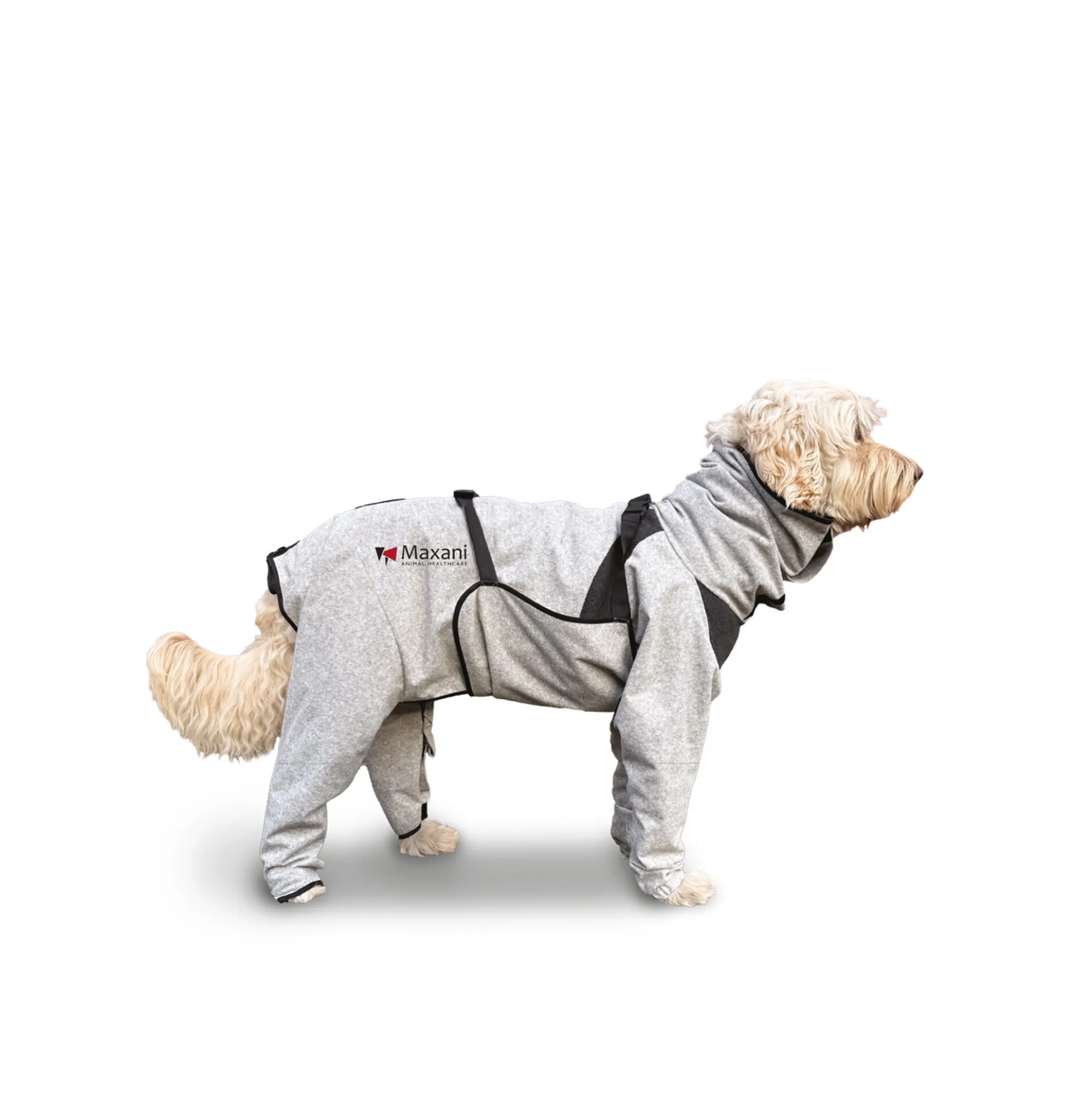 Maxani DermCoat