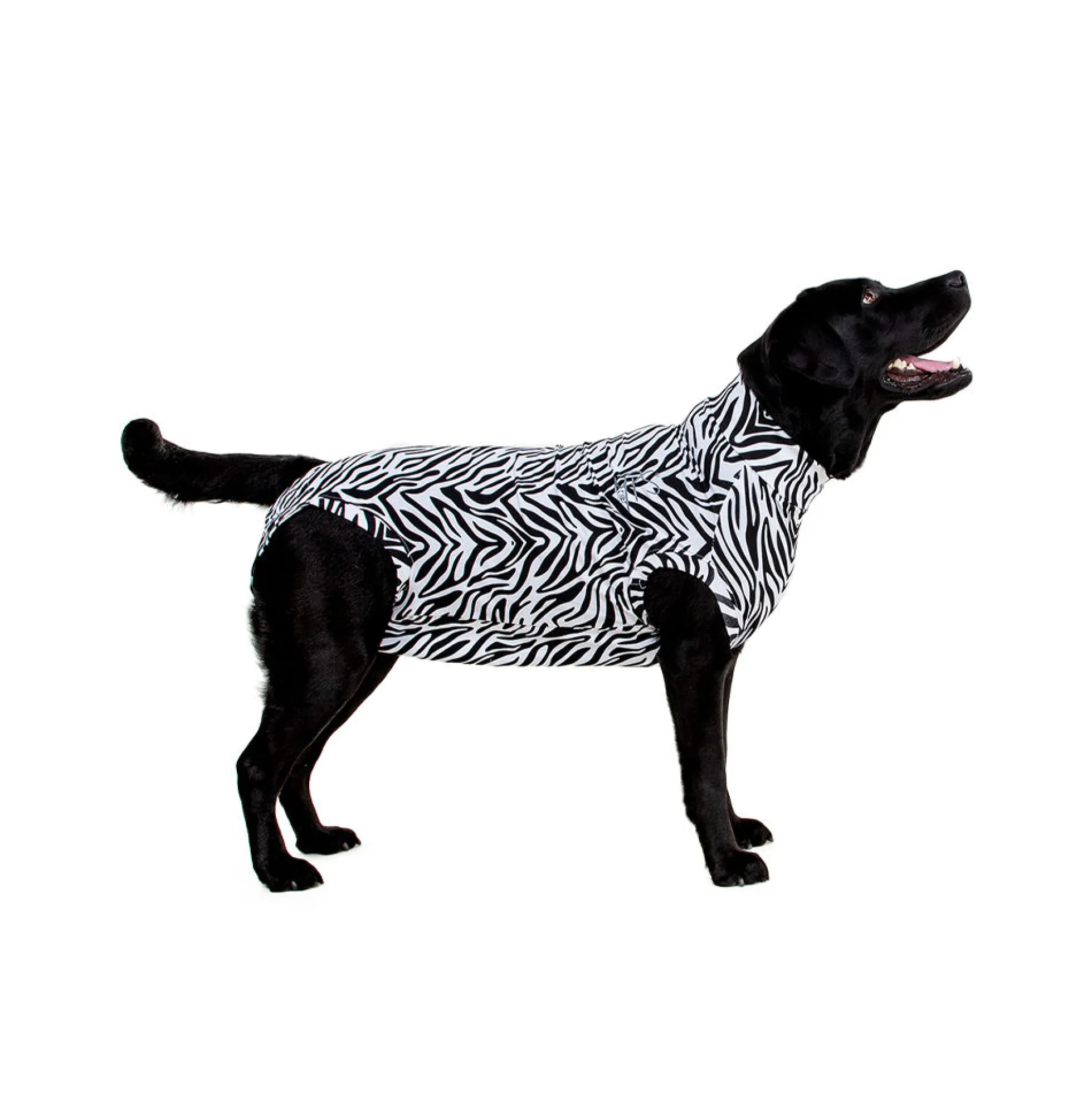 Medical Pet Shirt Cane Zebra