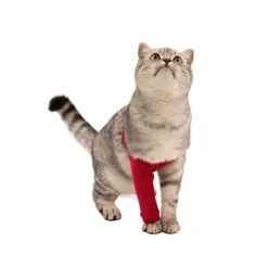 MPS Manica per zampa anteriore Gatto
