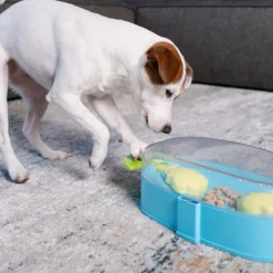 Nina Ottosson Paw N’ Play TNT