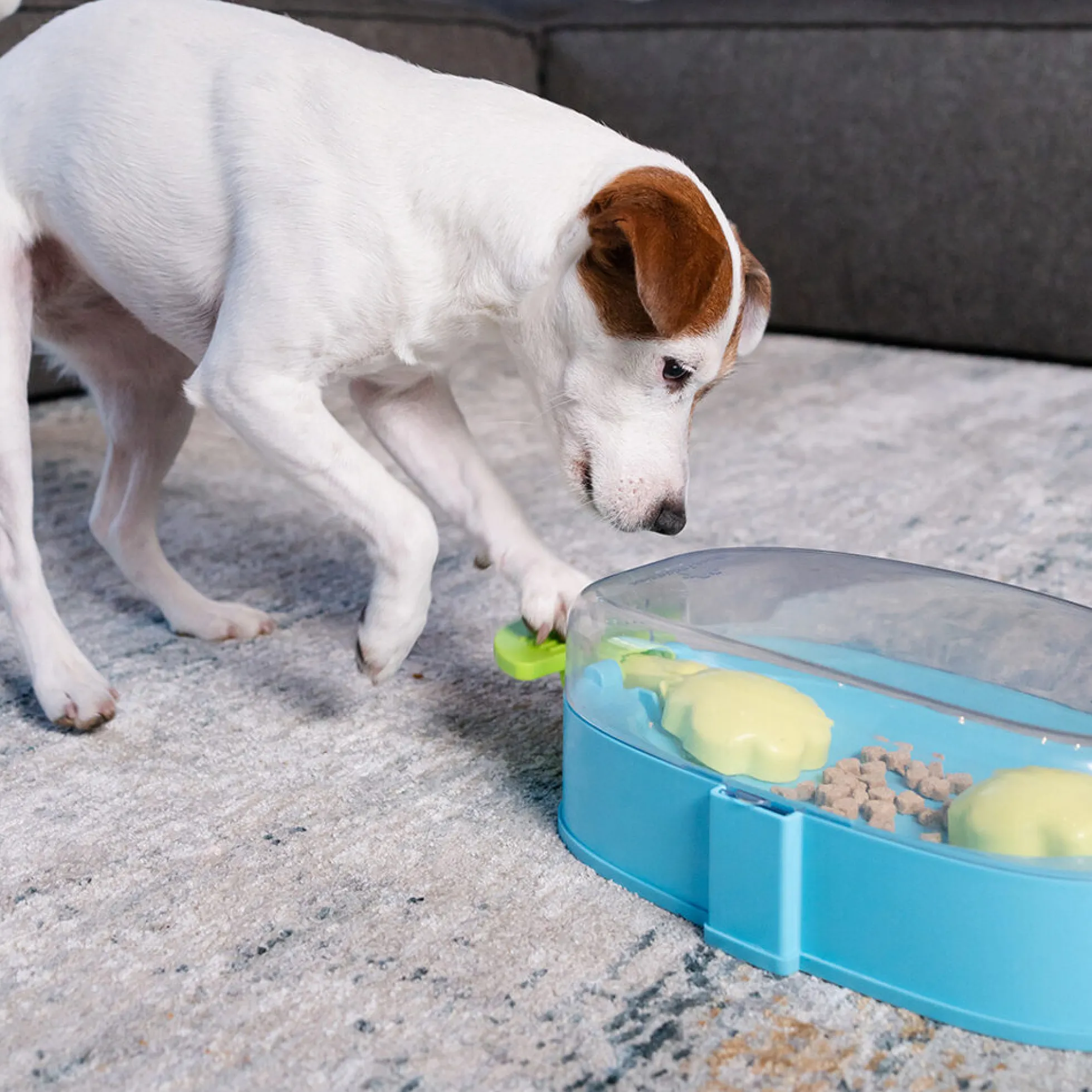 Nina Ottosson Paw N’ Play TNT