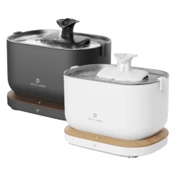 Petlibro Dockstream Smart Fontana per Gatti