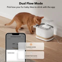 Petlibro Dockstream Smart Fontana per Gatti