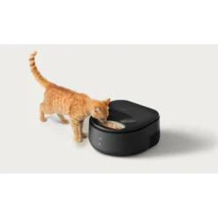 Petlibro Polar Wet Food Feeder