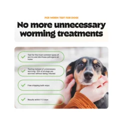 Pezz Test PCR per Vermi per Cane