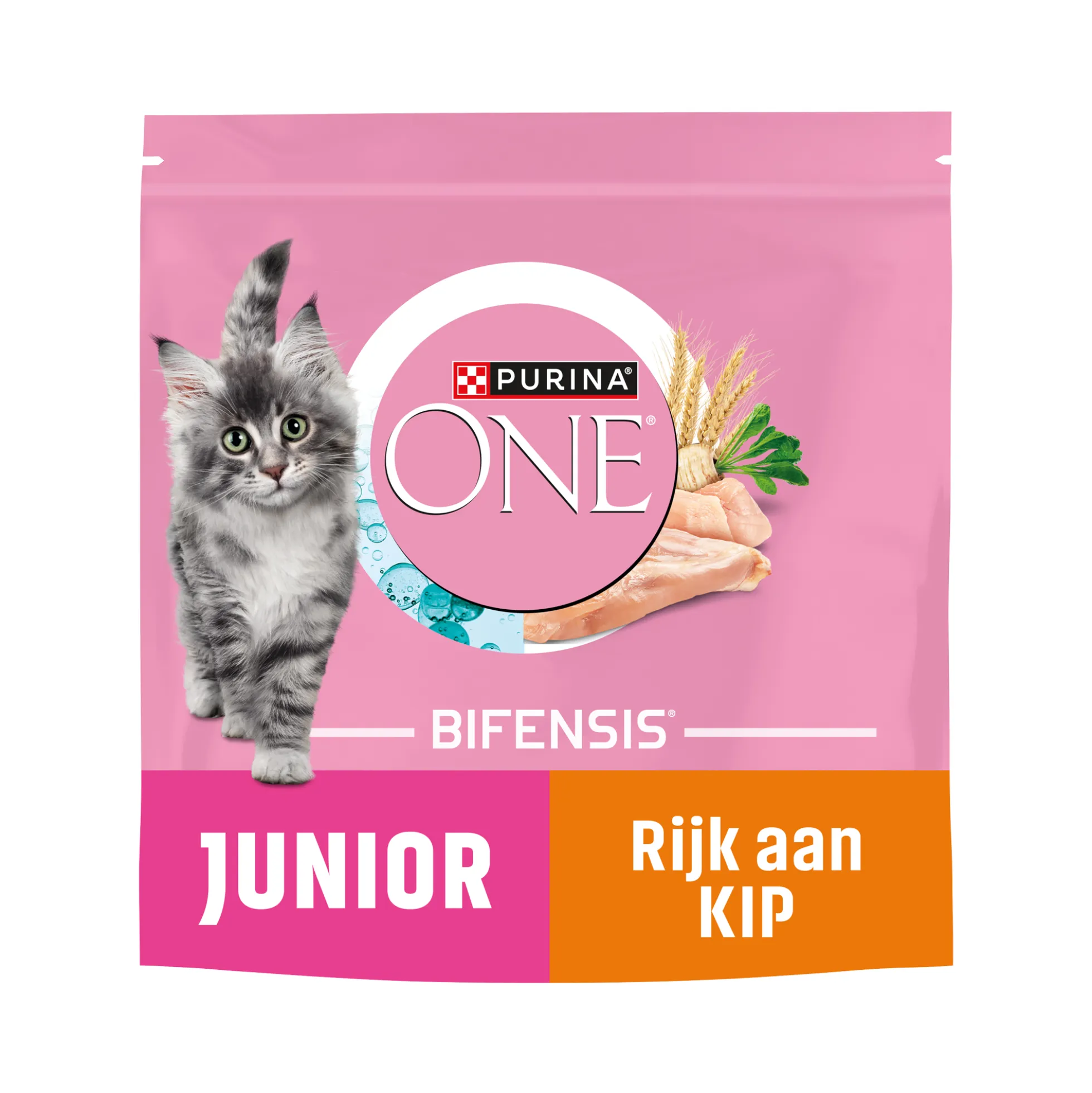 Purina ONE Junior
