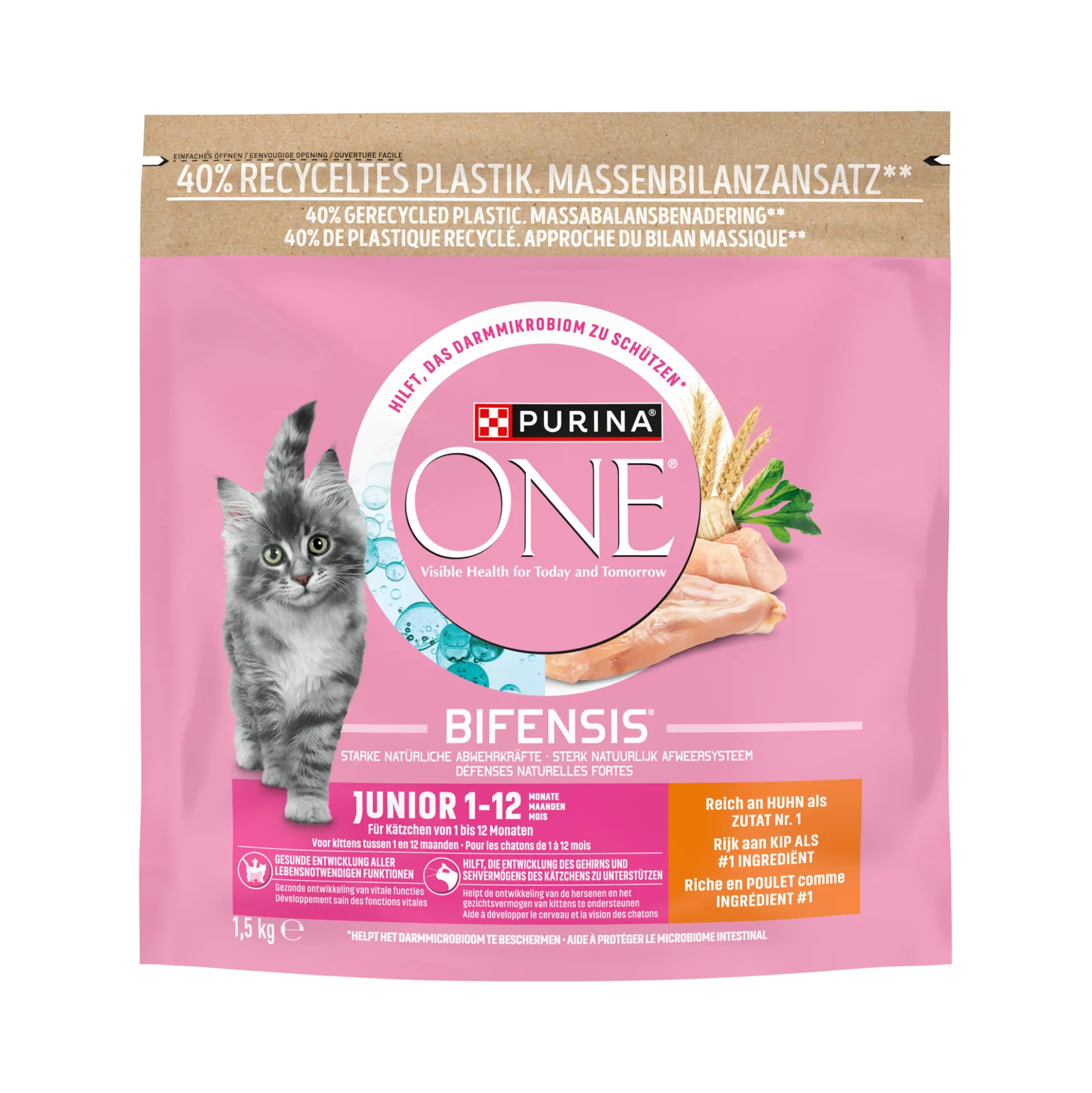 Purina ONE Junior