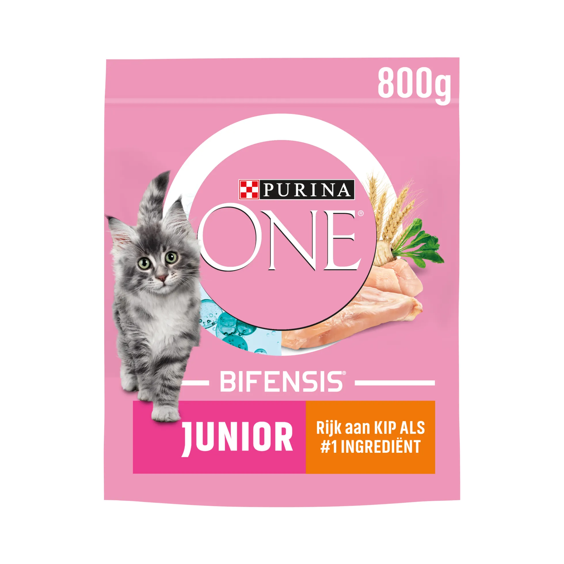 Purina ONE Junior