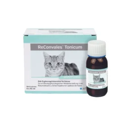 ReConvales Tonicum Gatto