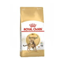 Royal Canin Adult Bengal - Cibo per gatti
