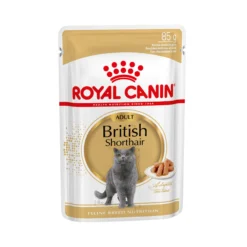 Royal Canin British Shorthair Adult Wet - Cibo per Gatti