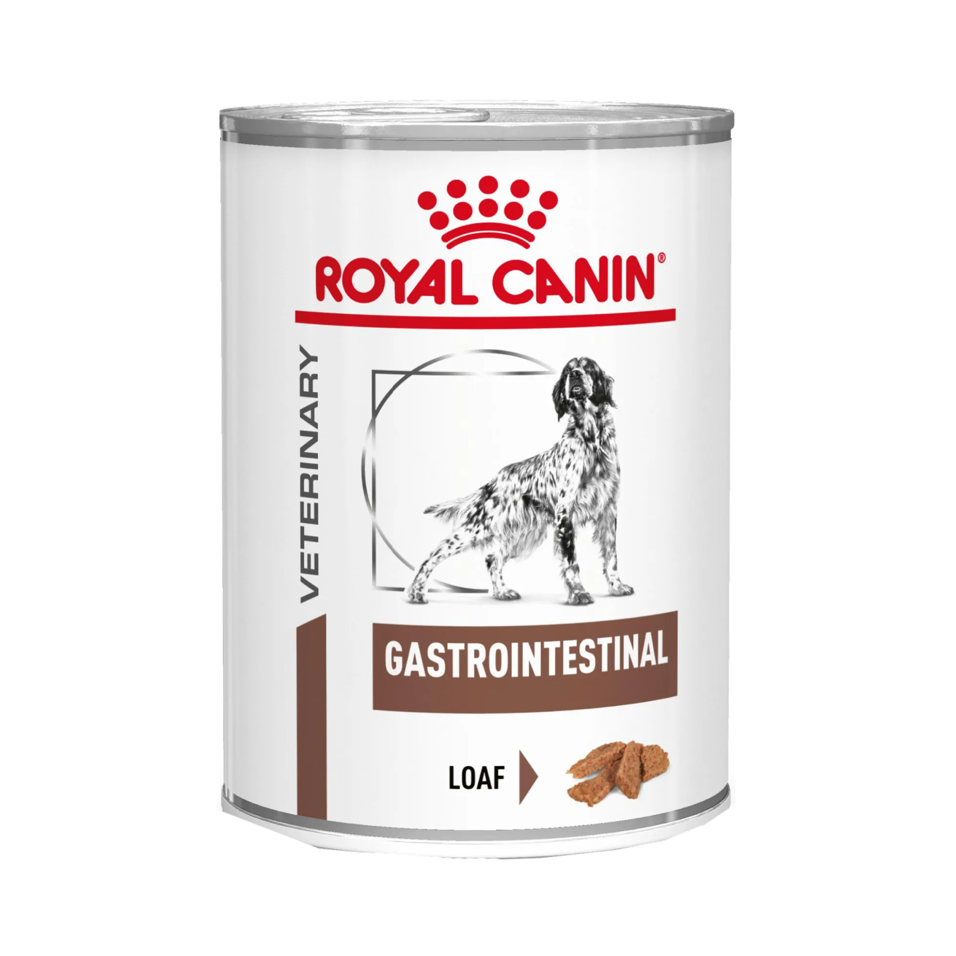 Royal Canin Gastrointestinal Cane - Lattina