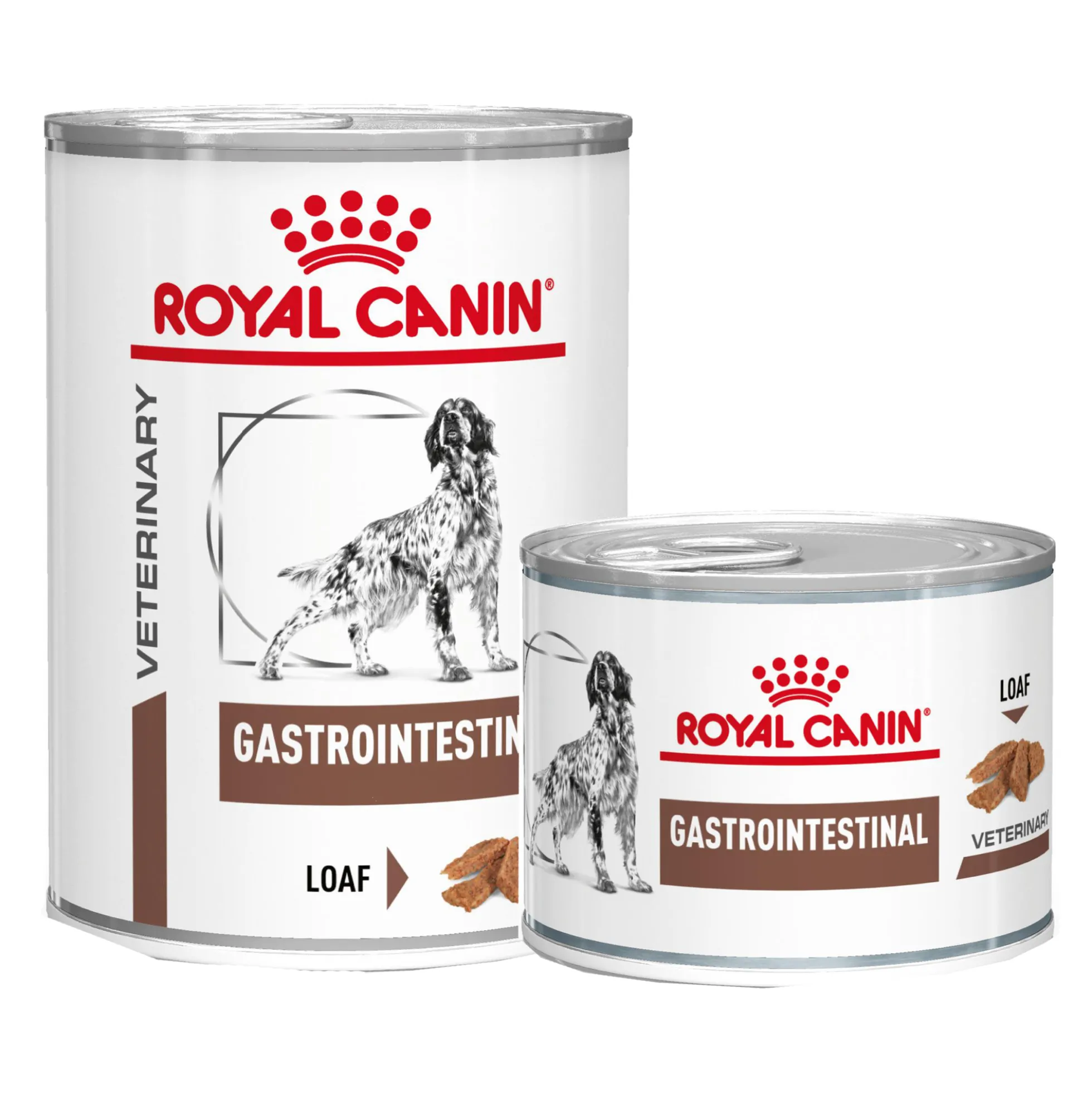 Royal Canin Gastrointestinal Cane - Lattina