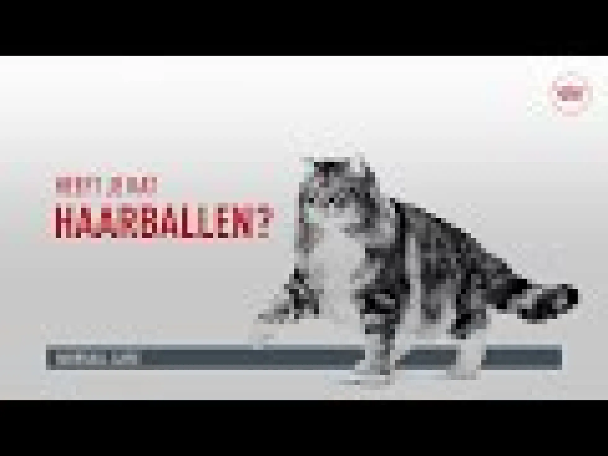 Royal Canin Hairball Care in Gravy - Cibo per Gatti
