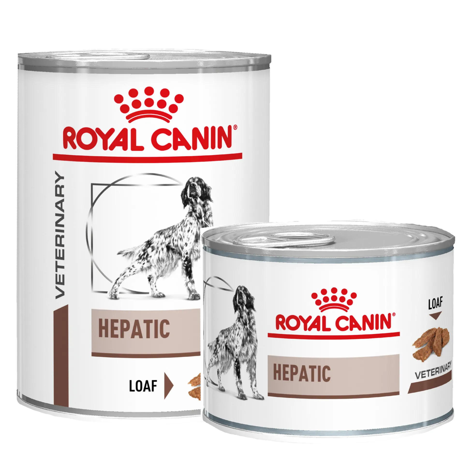 Royal Canin Hepatic Cane - Lattina