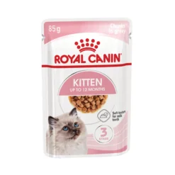 Royal Canin Kitten in Gravy - Cibo per Gattini