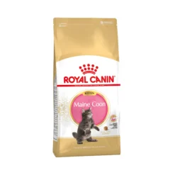 Royal Canin Maine Coon Kitten - Cibo per Gatti