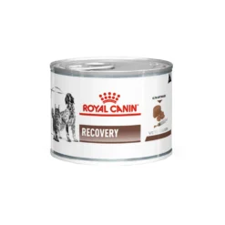 Royal Canin Recovery