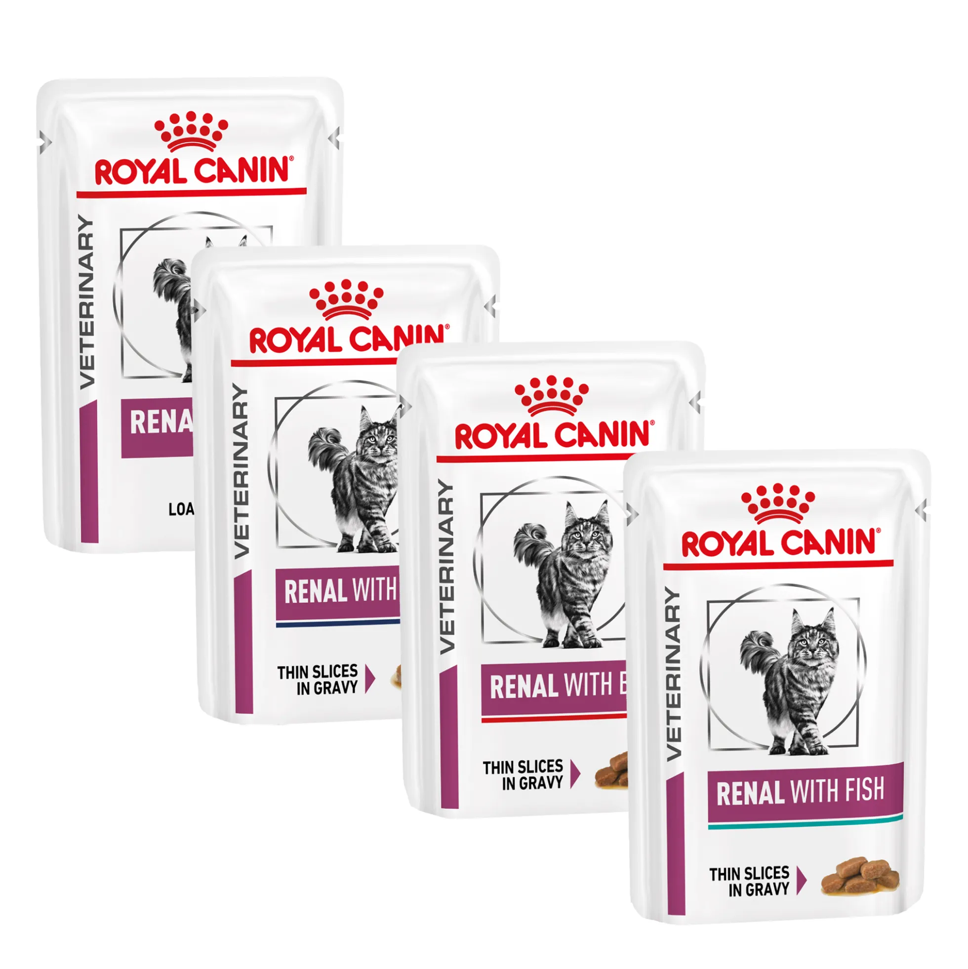Royal Canin Renal Gatto - Sacchetto Pasto