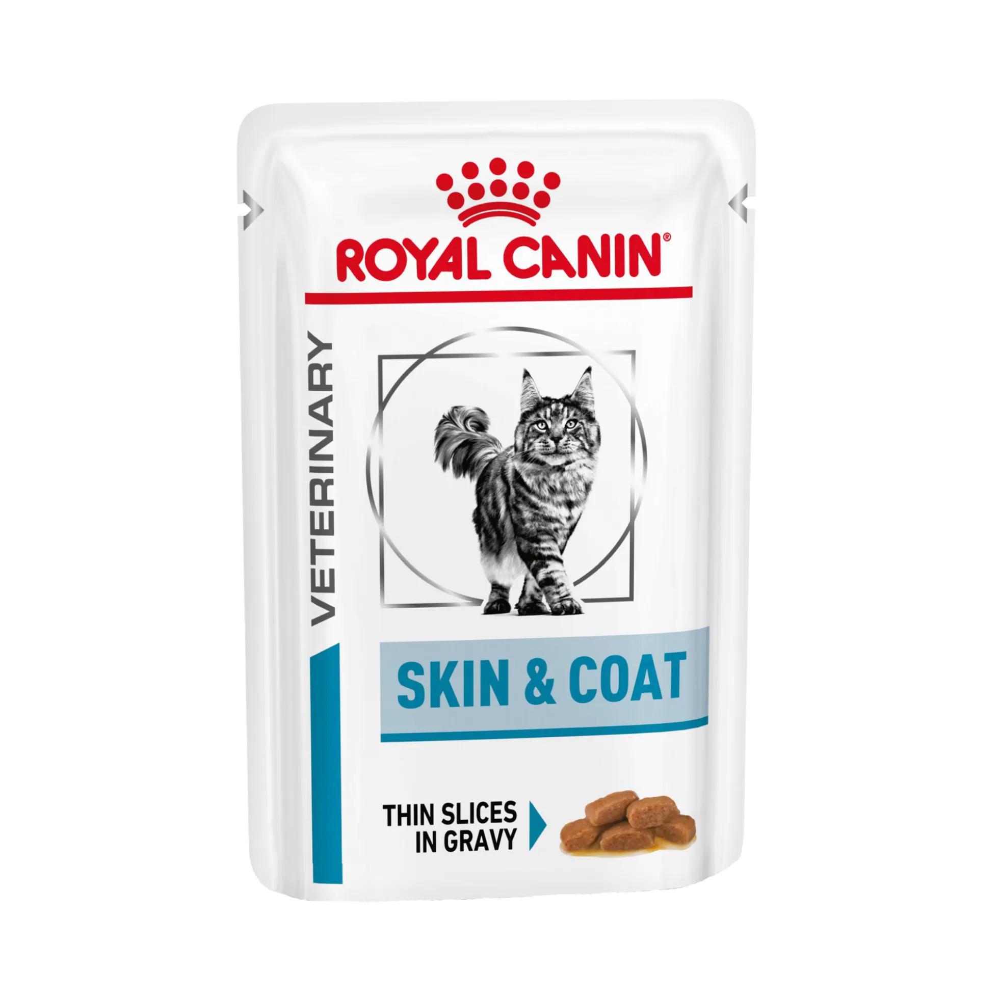 Royal Canin Skin & Coat Wet