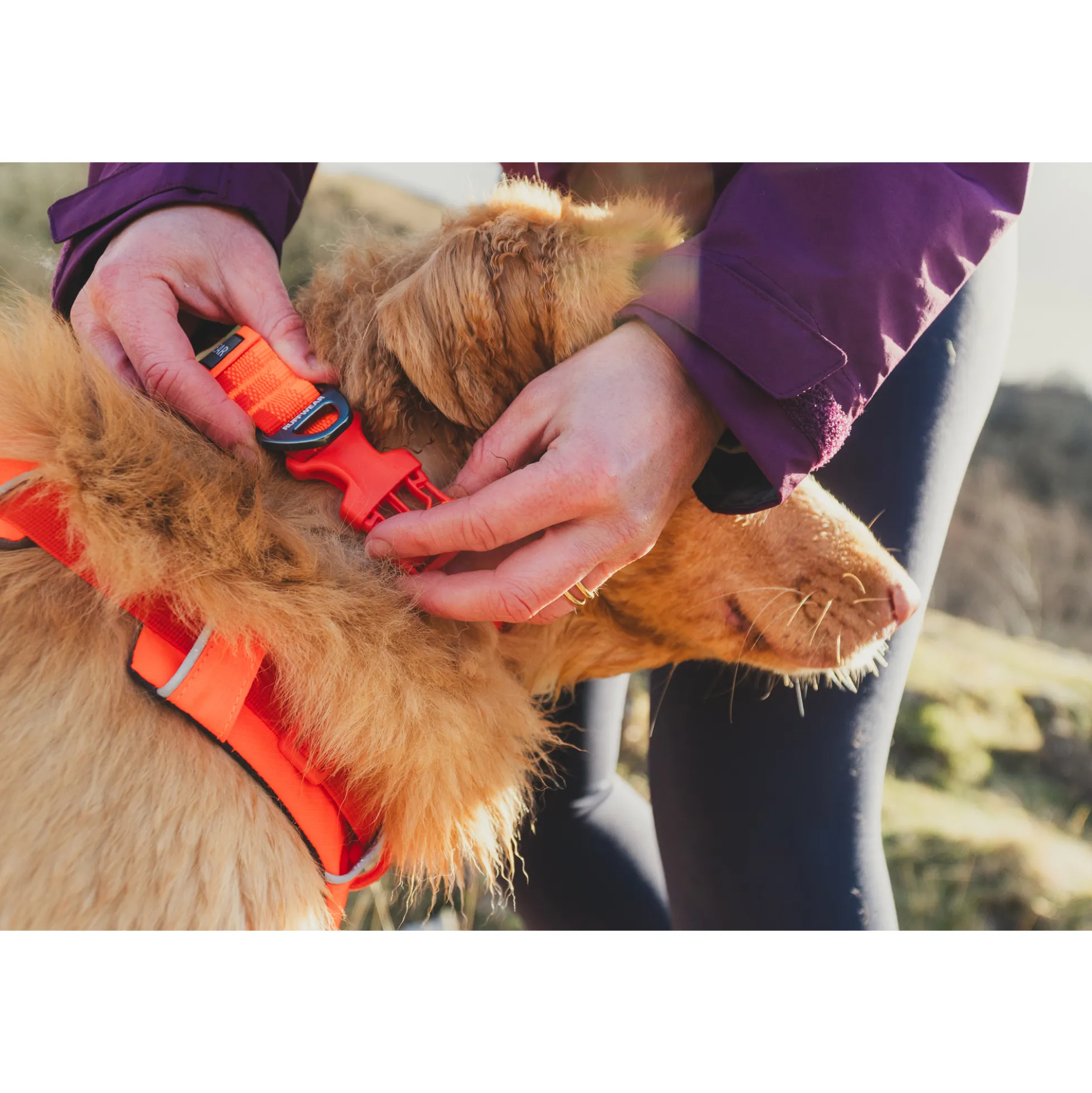 Ruffwear Front Range Collar