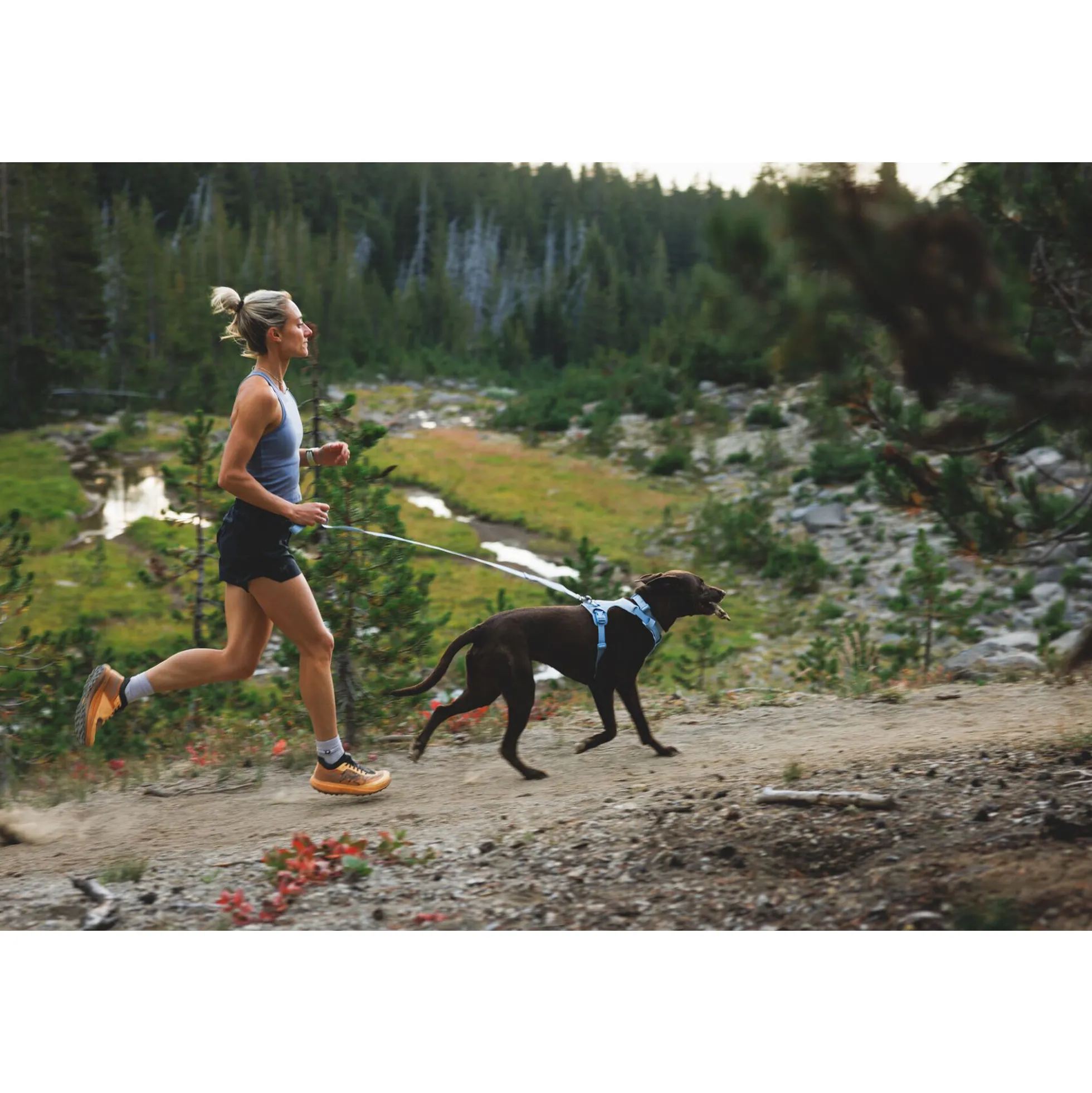 Ruffwear Front Range Flex Harness