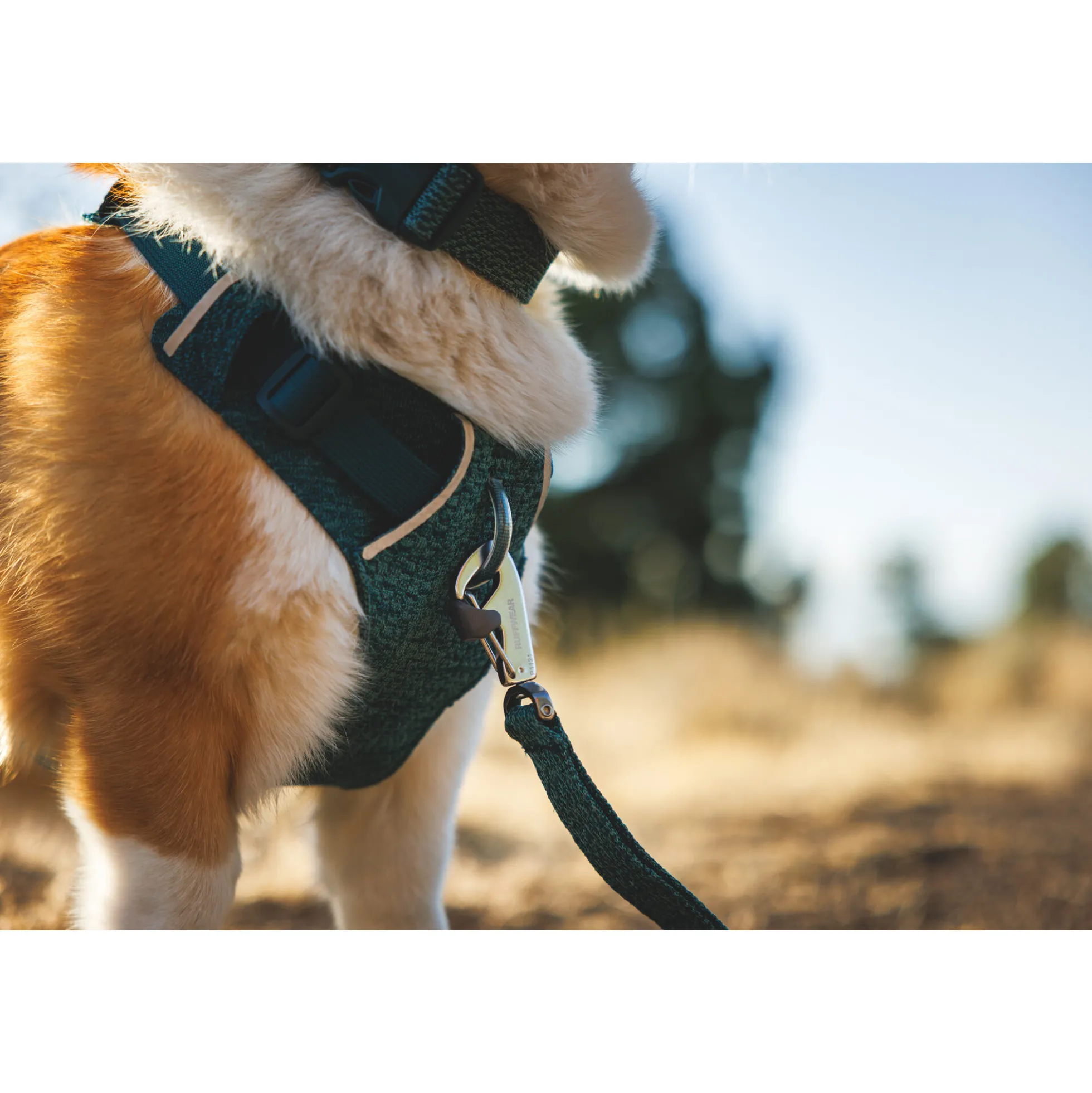 Ruffwear Front Range Flex Harness