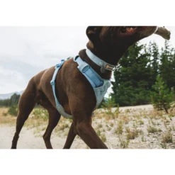 Ruffwear Front Range Flex Harness