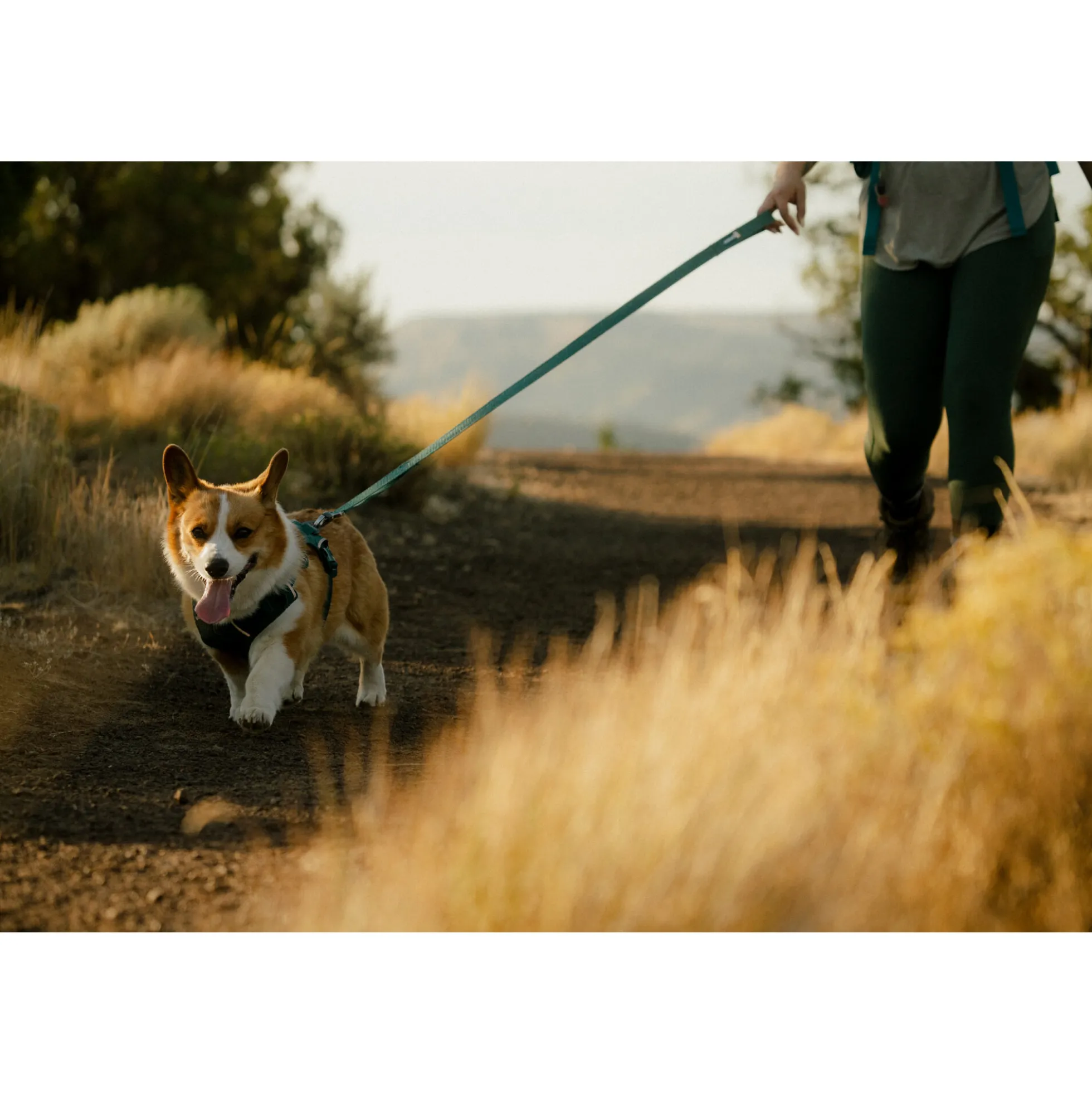 Ruffwear Front Range Flex Leash
