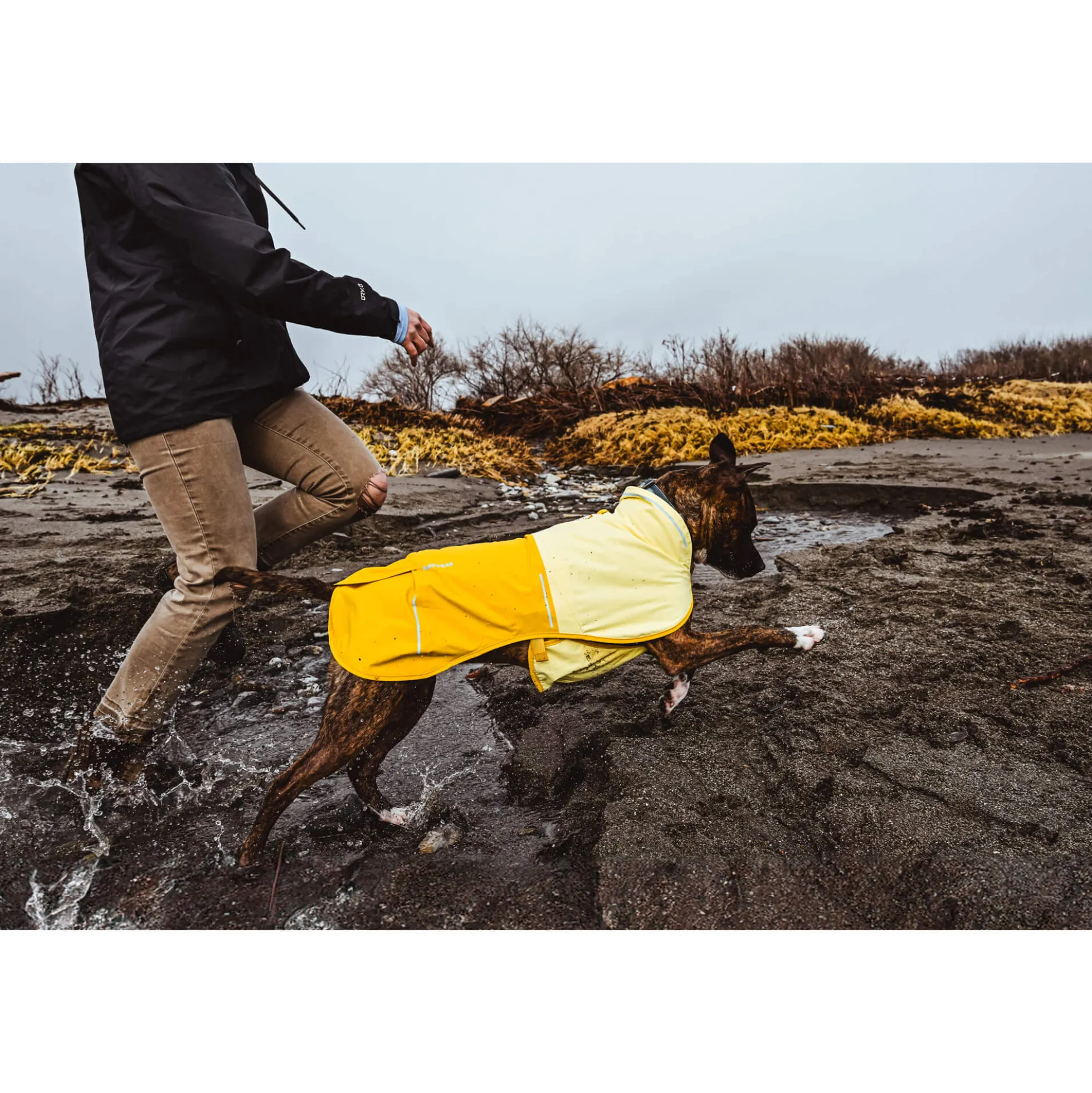 Ruffwear Sun Shower Rain Jacket