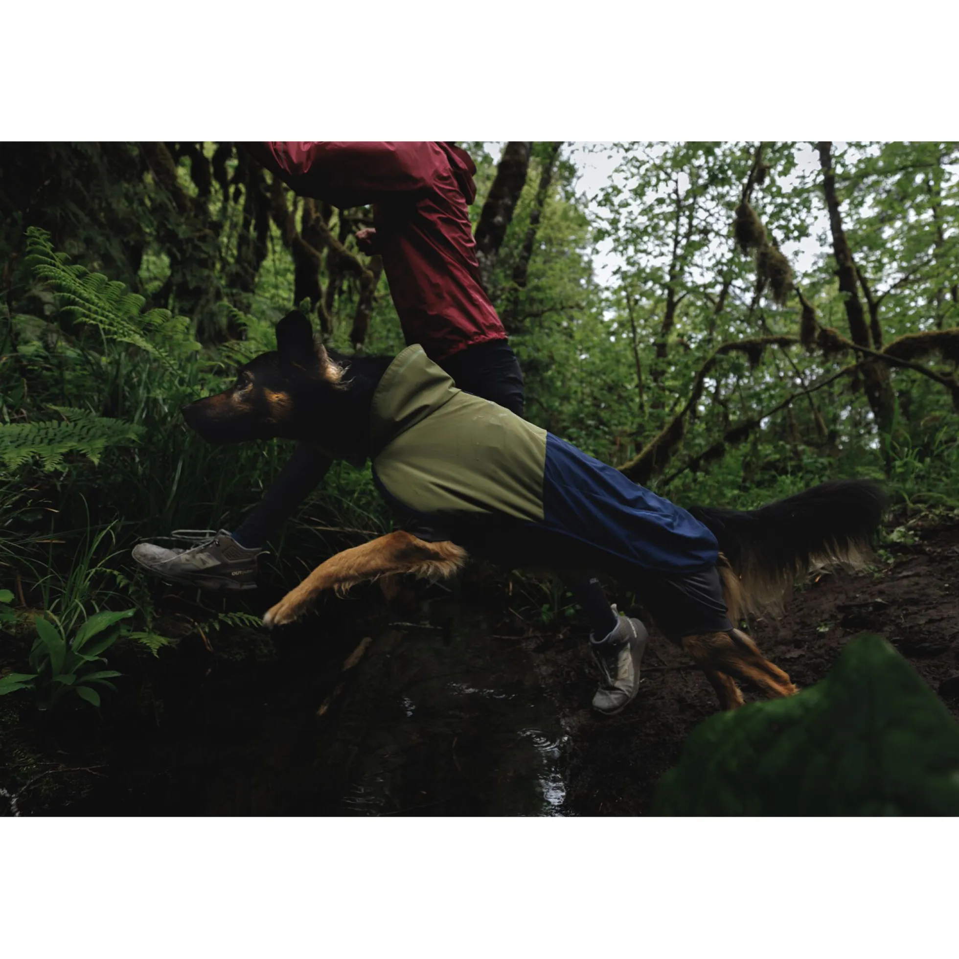 Ruffwear Sun Shower Rain Suit