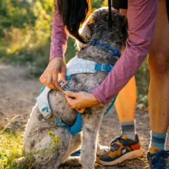 Ruffwear Swamp Cooler Harness