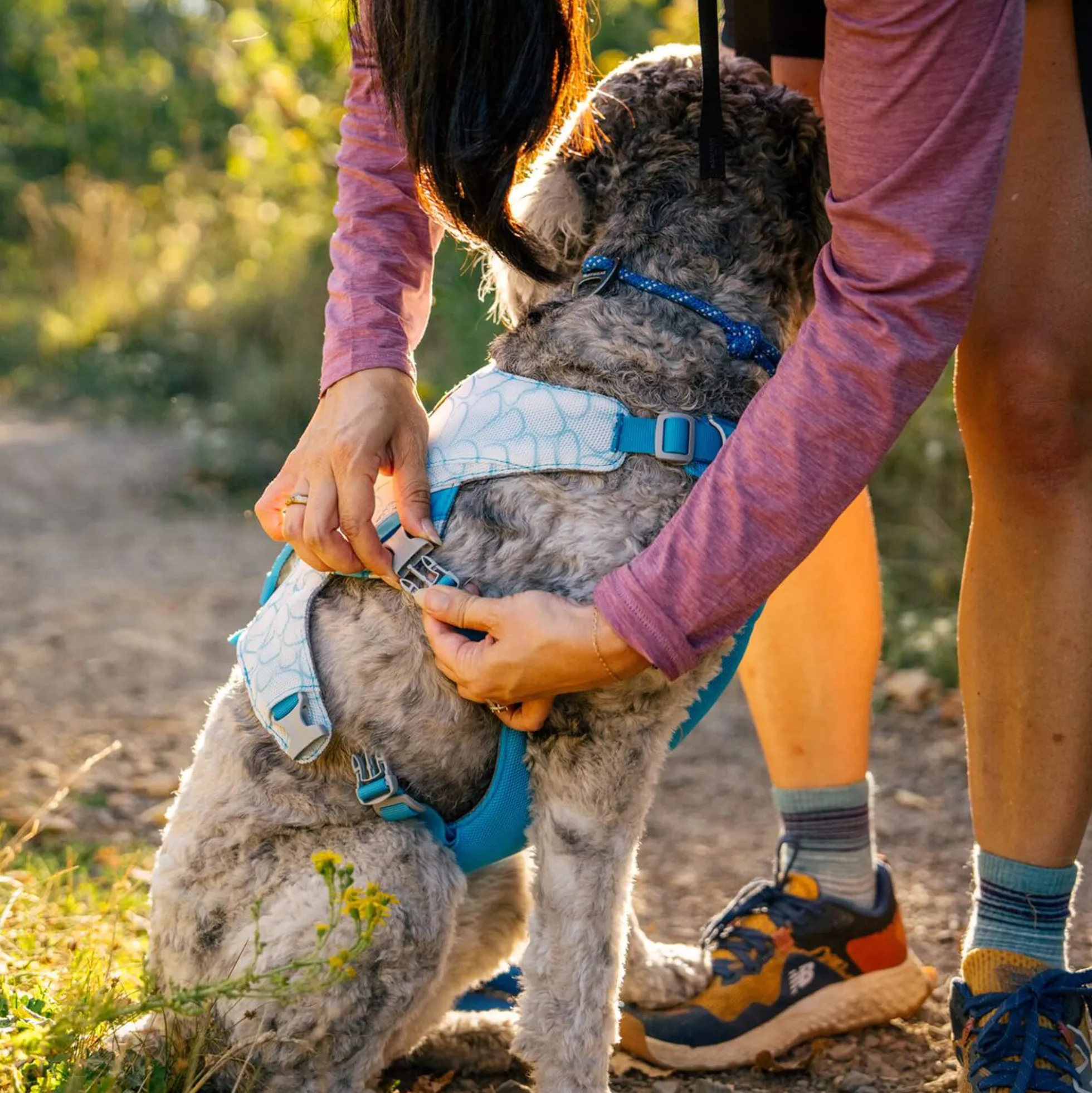 Ruffwear Swamp Cooler Harness