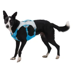 Ruffwear Swamp Cooler Harness