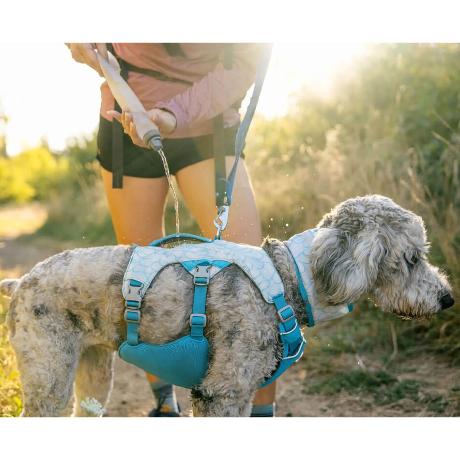 Ruffwear Swamp Cooler Harness