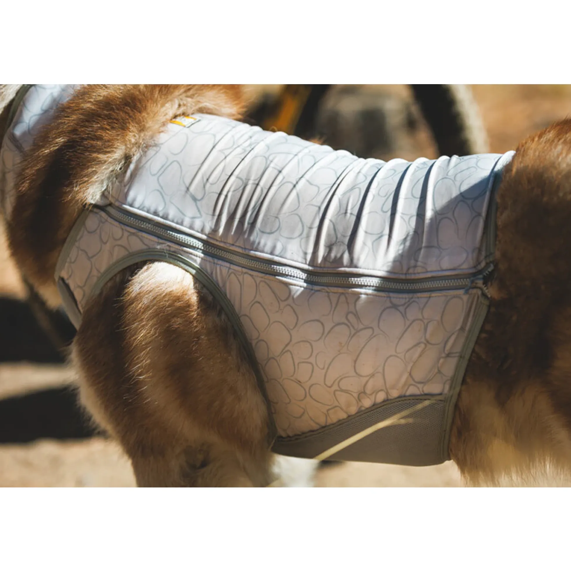 Ruffwear Swamp Cooler Zip